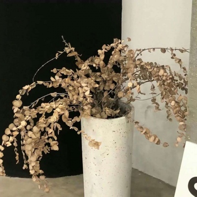 Furry插画构图解析干货兽圈群